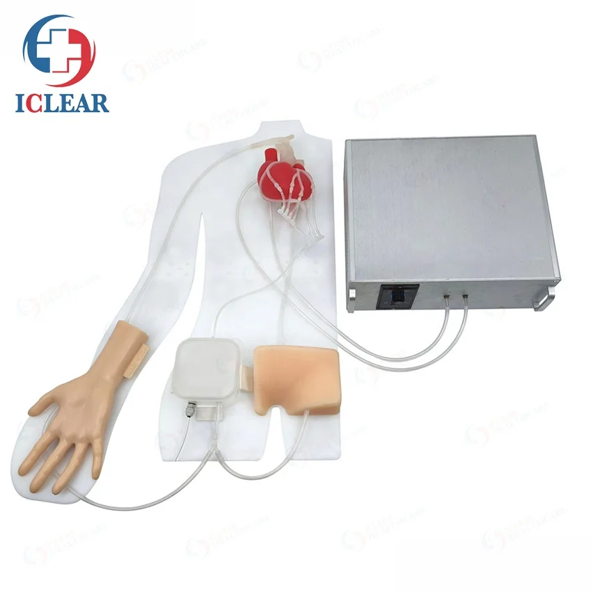 救急・衛生用品 PCI trainer for beginners
