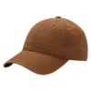 Light Brown 2