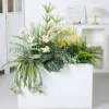 HY-AX801 without flower box