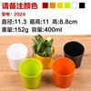 2024 Small Straight-Barrel Slanted Bowl