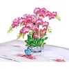 Orchid