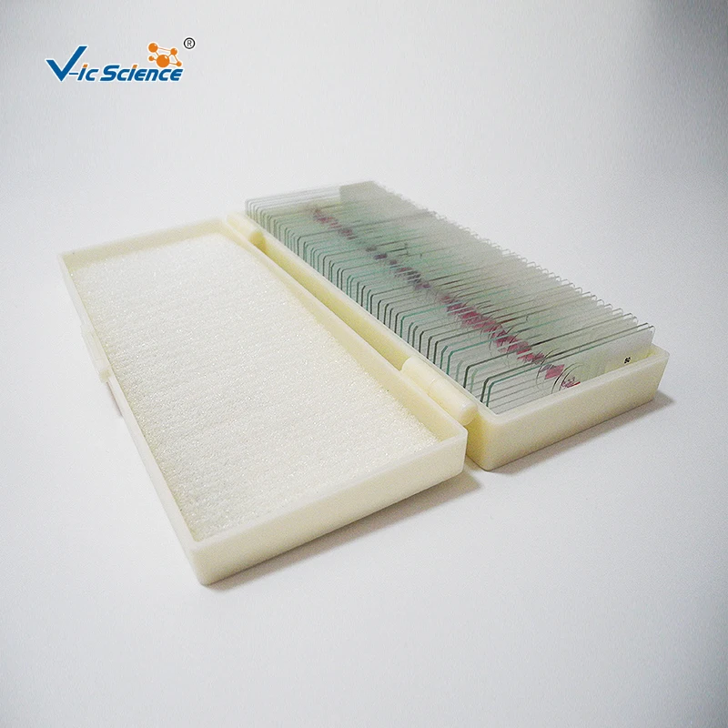 Parasitology Set of 50 Pcs  Slides  Studying Microscope Prepared Slides Prepared Slides Microscope