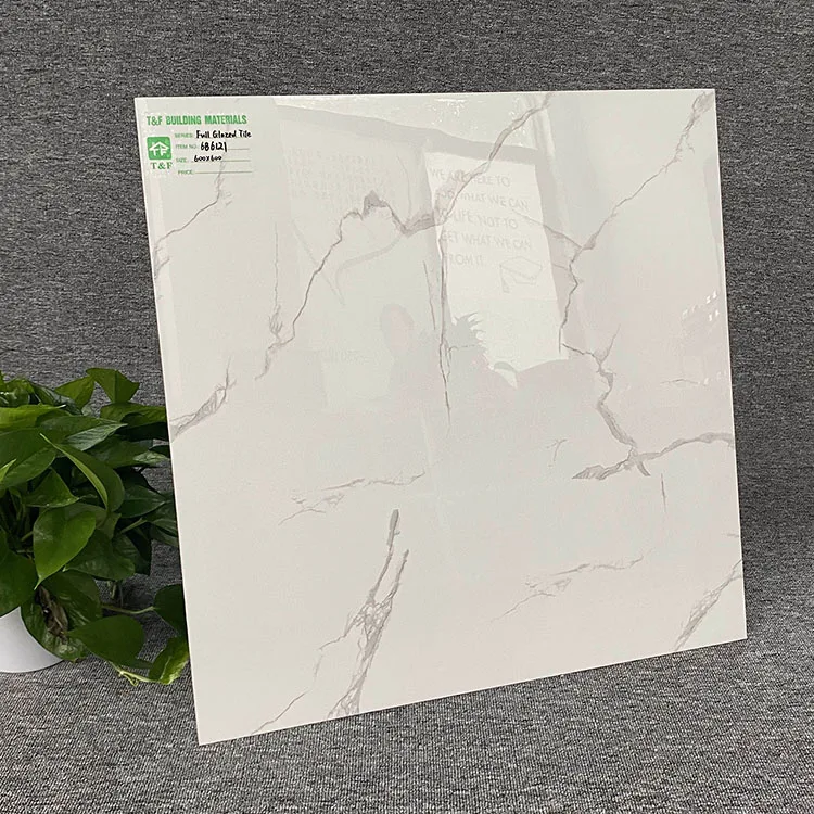 600x600 Floor Porcelain Wall Ceramic Tiles For Wall And Floor Standard