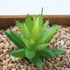Aloe vera pequeño, verde.