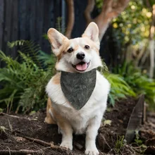Dog Harness Banana Pet Bib Scarfs Breathable Dog Pet Bandanas Scarf for Daily Wearing Dog Accessories
