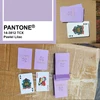 custom color +logo