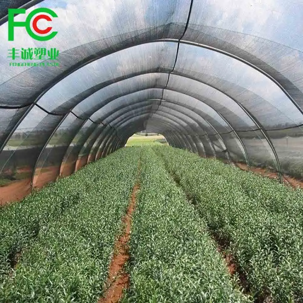 Buy Sol Royal Shade Net SG 80 - Shading Net 165 G/m² - UV Shade 5000 X 150 Cm Shading Fabric Green Privacy Screening Hdpe With Cable Ties For Greenhouse Garden Fence Balcony