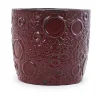 Burgundy Bubble