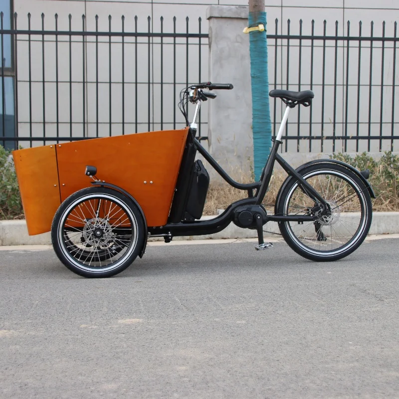 Delivery Children Seats Family Electric Assist Cargo Bike