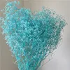 Nylon blu