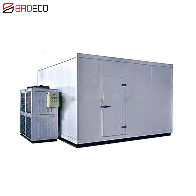 20Ft 40Ft Cold Storage Solar Container Cold Room Freezer System Cold Room Storage Price