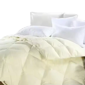 All Seasons High Quality Down Duvet Goose Duck Down Feather Quilt 100% Duvet Cotton Soft Duvet
