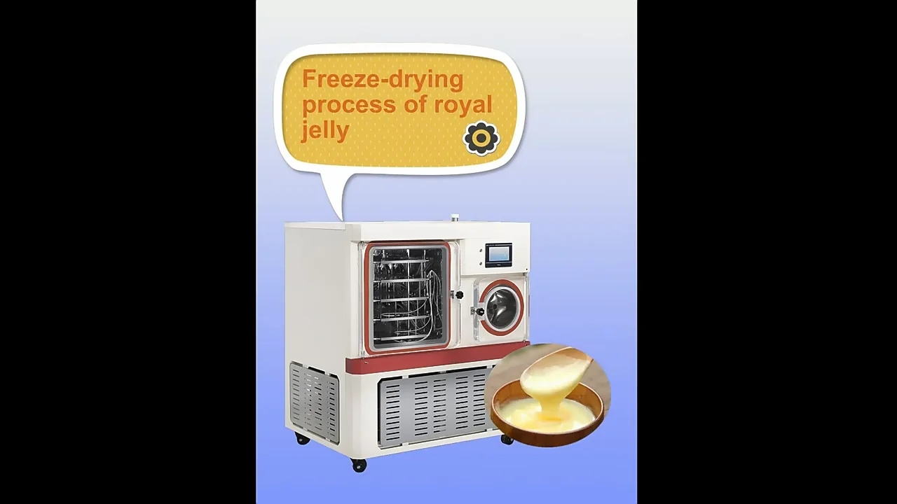 Innova Freeze Drying Machine/lyophilizer /freeze Dryer Machine Buy Food Freeze Drying Machine
