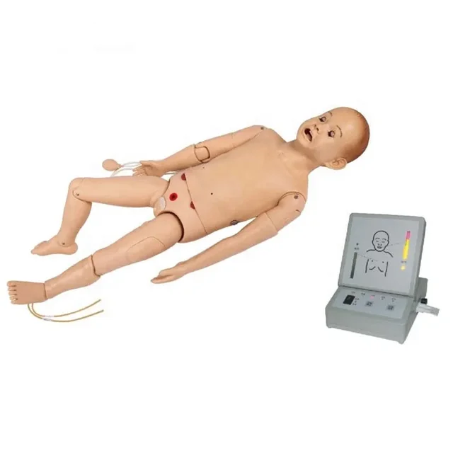 DARHMMY Advanced Medical Science Manikin Fully Functional 5-Year-Old Child Model