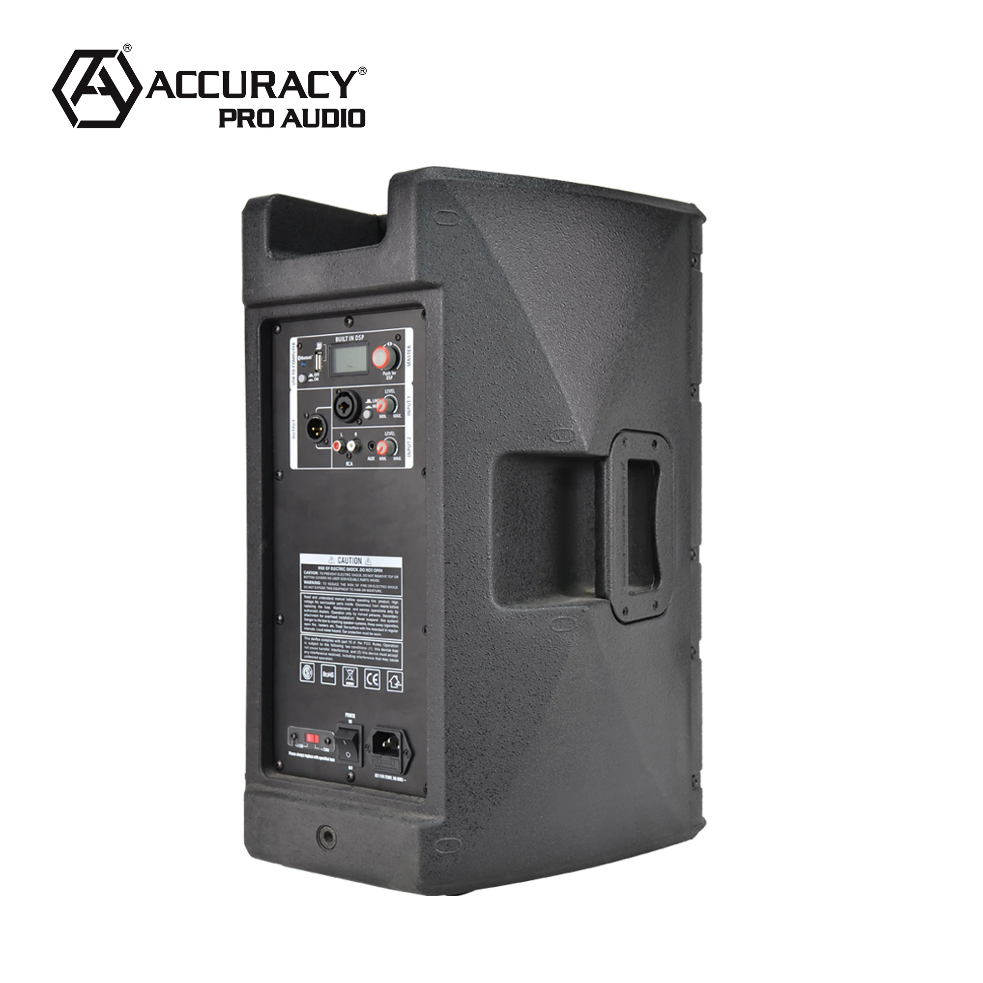 Accuracy Pro Audio CAO10DSP 10 Inch DSP Powered Speakers Home Party pa Active Portable Sound System Speaker Box
