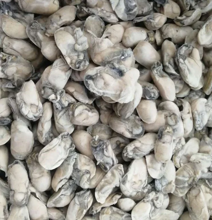 Frozen Oyster Meat Fresh Oyster For Sale Oyster Frozen Buy Fresh