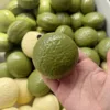 15 pastel verde