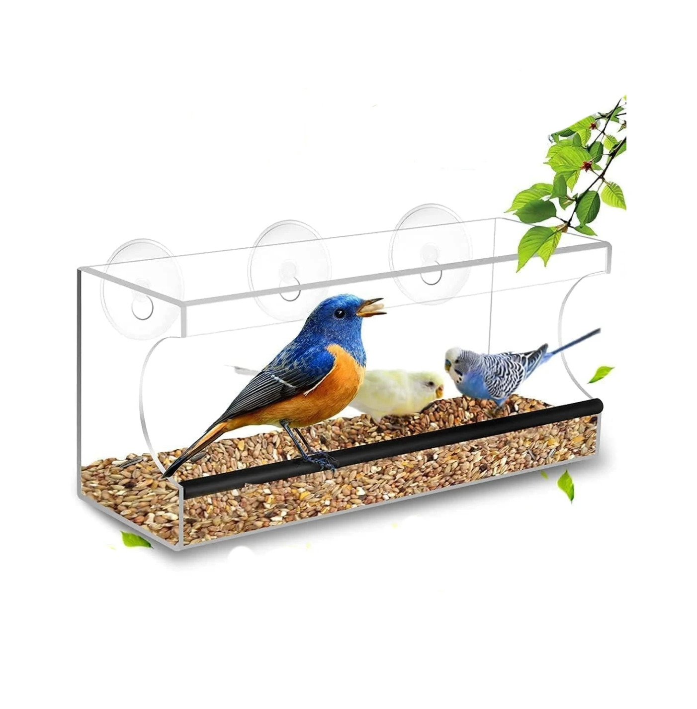 Clear Plexiglass See Through House Outside Window Bird Feeders Squirrel ...