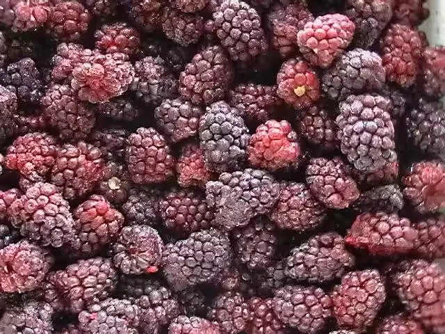 Wholesale Price Bulk 10kg Frozen Blackberries IQF Frozen Blackberry Fruits