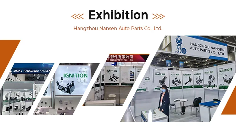 Ignition Coil for Porsche 99760210702 supplier