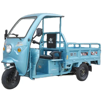 Chang li electric tricycles 1000W Big 3 Wheel Tricycle China Cargo Tricycle