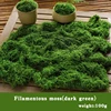 verde oscuro 100g