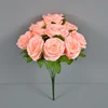 Rosa carne