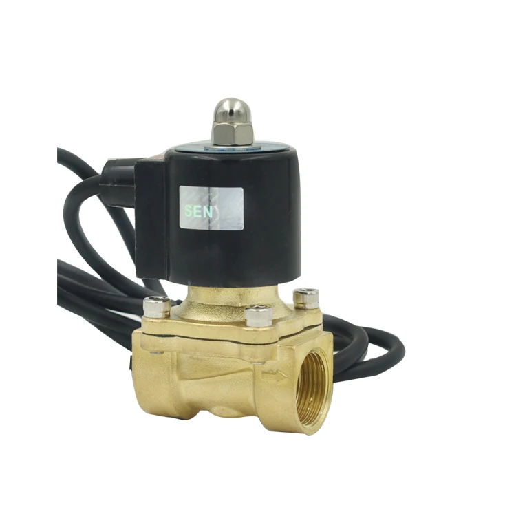 Оптовая поставка фабрики 12V 24V 220V 2 способа медной катушки латунь электромагнитный клапан для
