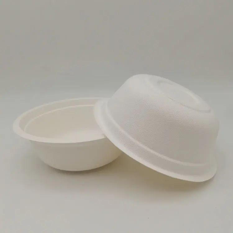 bagasse bowl (18).jpg