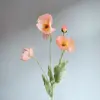 Rosa corallo medio