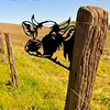 Vaca 2