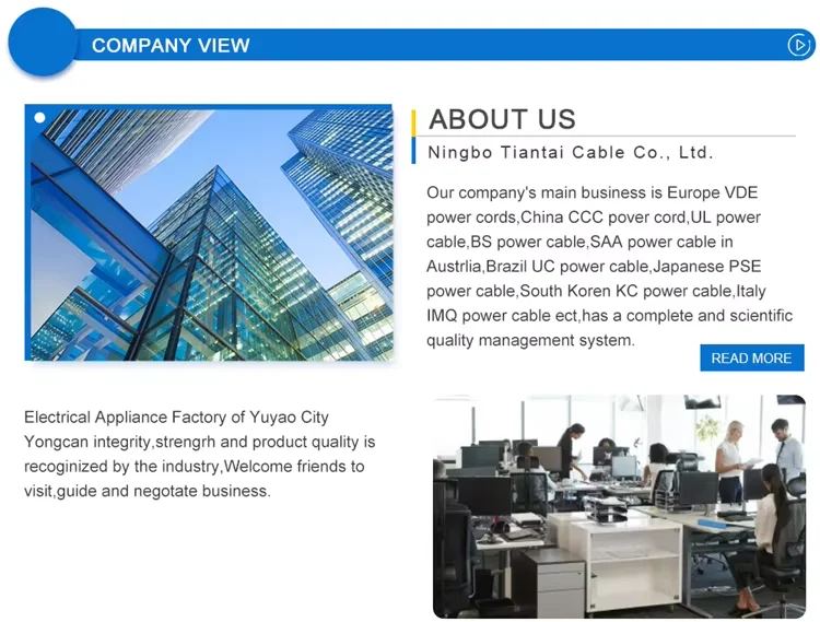Company overview