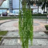 Hanging seaweed leaves green