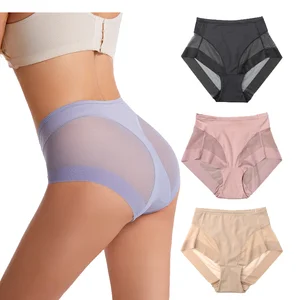 Wholesale High Quality Women's Nylon Breathable Mesh Panties Mid-rise Comfortable Everyday Briefs Plain Dyed Ice Silk Adult