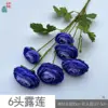 ดอกบัวน้ำค้าง 6 หัว HN สีฟ้า-ม่วง