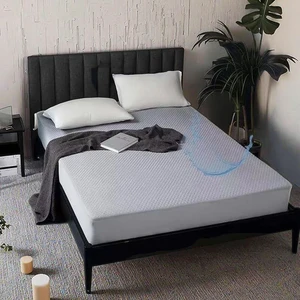 Waterproof Anti-Allergy Bamboo Air Layer Fabric Hospital Grade Zipper Closure Mattress Protector Bed Mattress Cover Plain Style