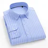 2416-Blue stripes