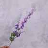 สีม่วง