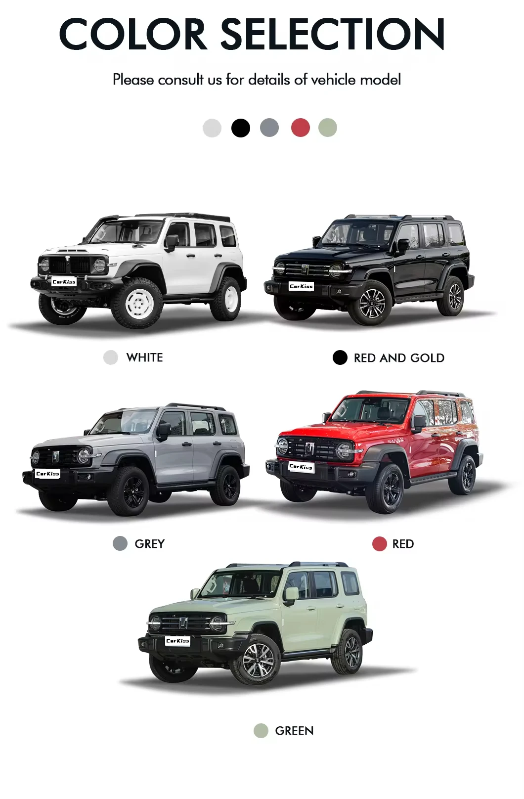 Great Wall Tank 300 SUV New 2.0T Sport Gas Car with Electric Fuel Adult Vehicle by Changcheng Model Tank 300 SUV details