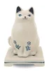 gato kannyu