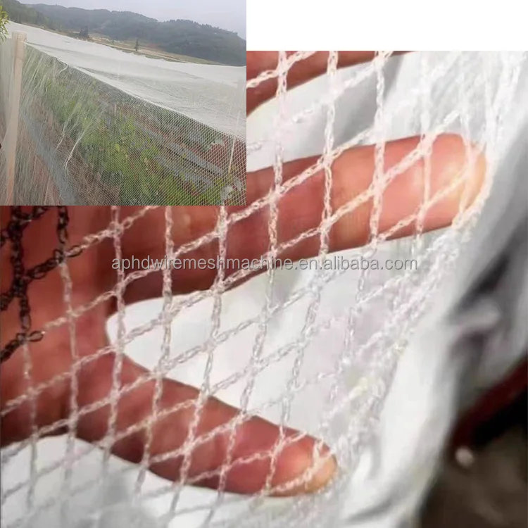 China Hail Net Manufacturer Agricultural Apple Tree Anti Hail Netting