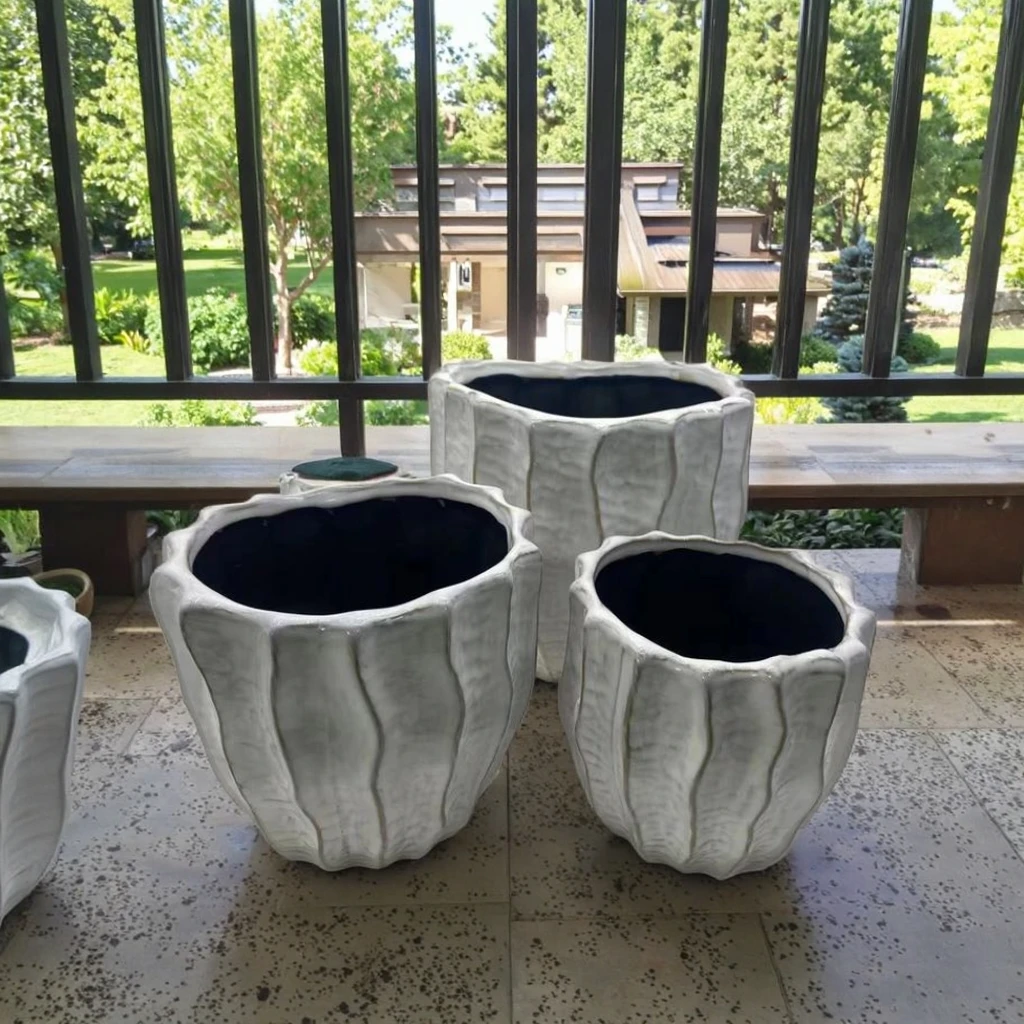 pots for household plants Popular Houseplant 12-pack: Easy Plant Variety Pack – Cute & Unique Plants