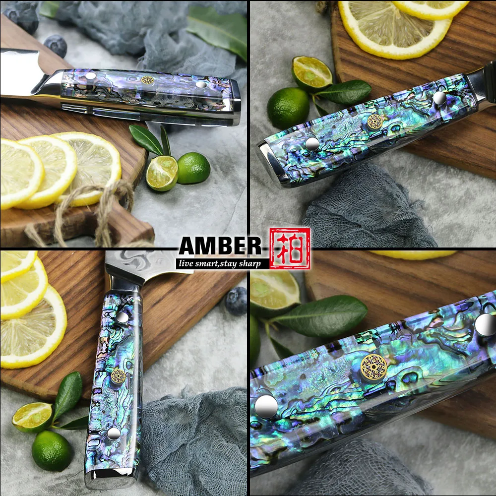 Custom Logo 67 Layer Vg10 Japanese Damascus 2pcs Chef Knife Set with Honing Steel