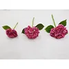 Ortensia-rosa rossa di piccole dimensioni