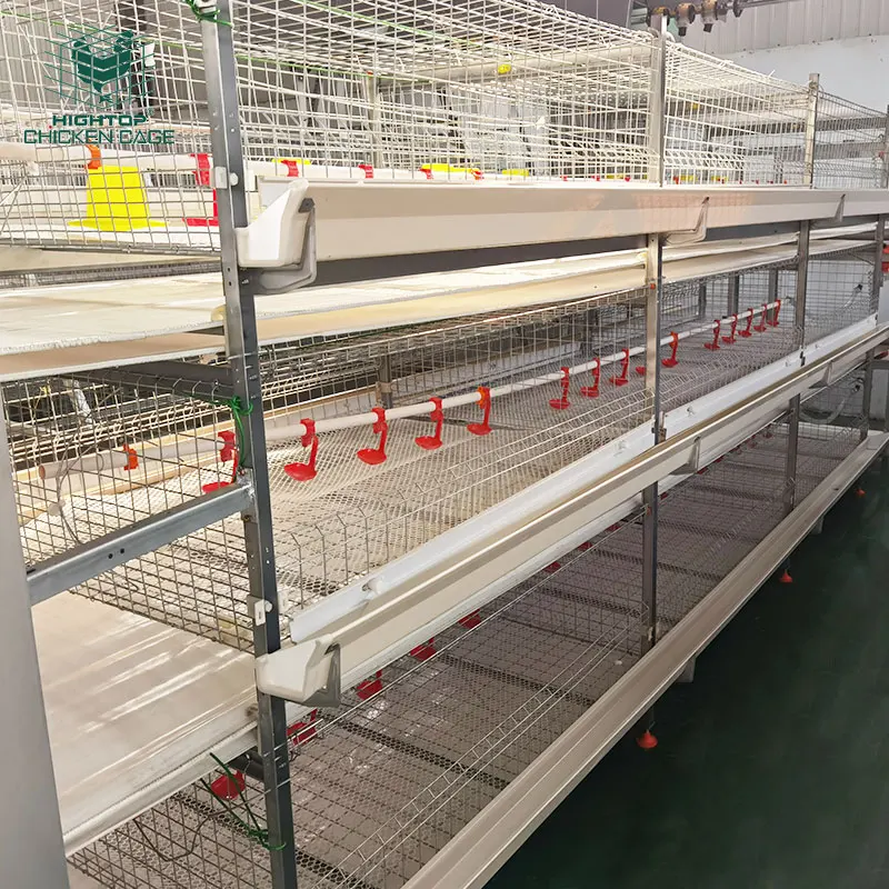 Fully Automatic Battery 3 Tiers 4 Tiers H Type Poultry Farming Broiler Chicken Cage for Broiler Coop