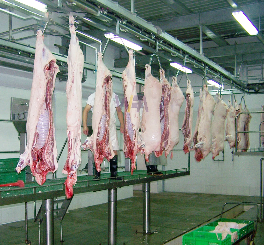 Modern Slaughter House Swine Abattoir Equipment For Pork Butcher Meat ...