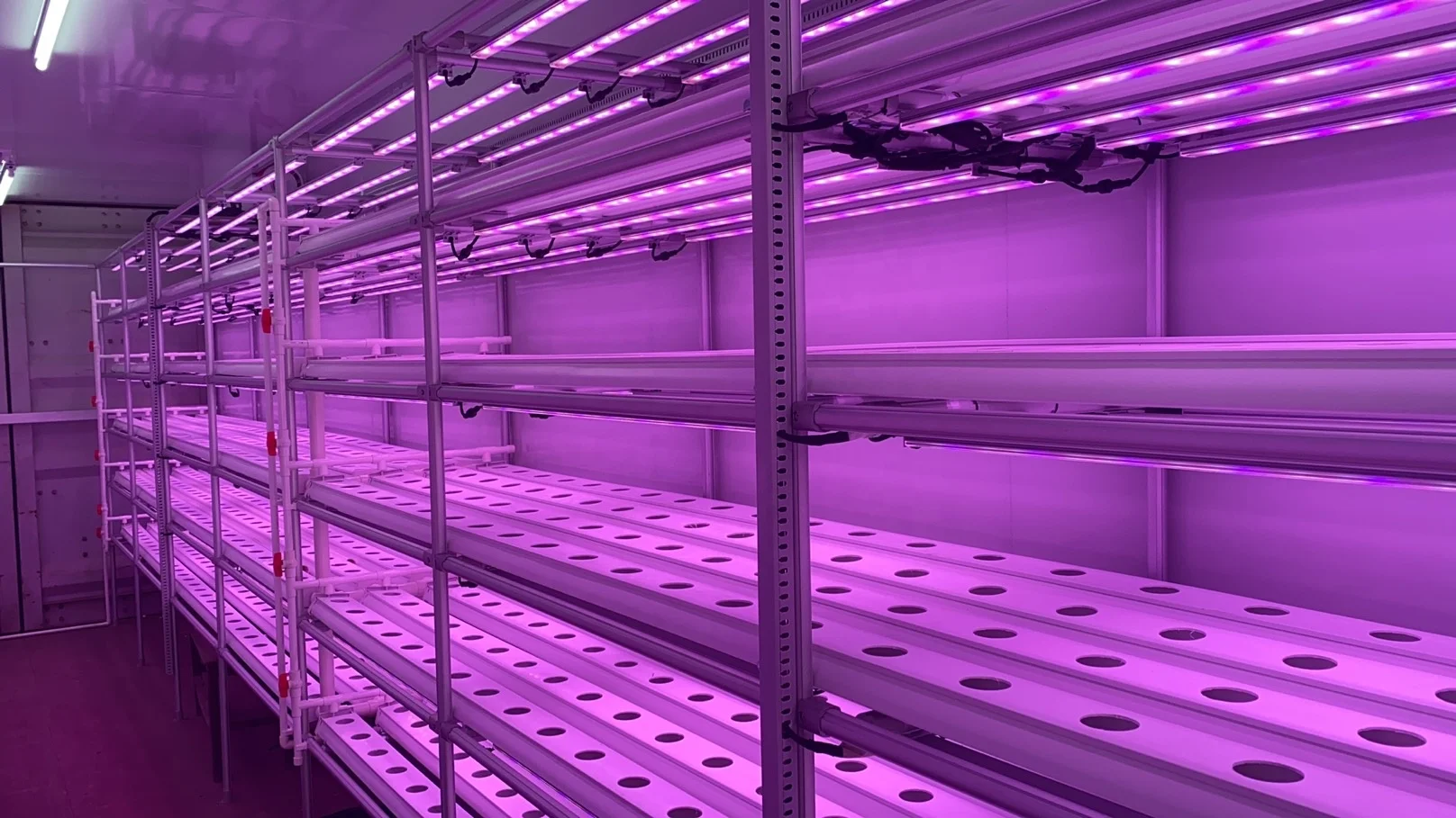 Container Farms For Hydroponic Fodder Sprout Machine Produce Barley ...