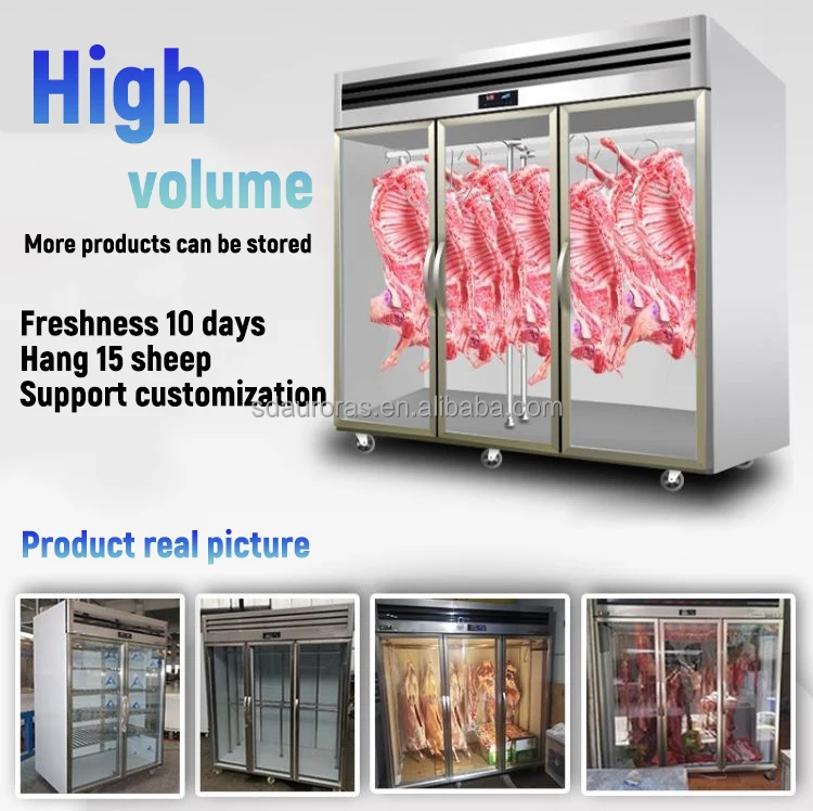 Thawing Equipment, 220 V, 400L - detail 10