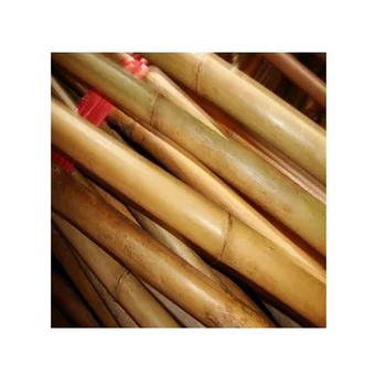 Small Nature Yellow Bamboo Pole / Bamboo Fence / Flag Pole - Large Bamboo Poles for Garden and Construction