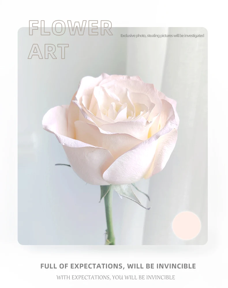 2024 New Product Real Flowers Spray Paint Flower Painting In Different